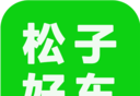 松子好车软件logo图