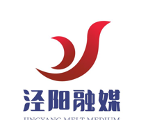 爱泾阳软件logo图