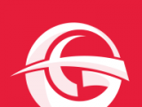国信团飞软件logo图