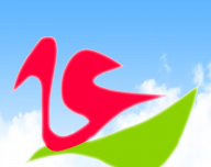 云上左中