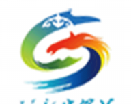 新赛罕V