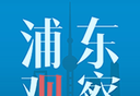 浦东观察