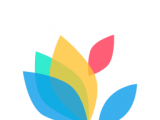一键屏保壁纸