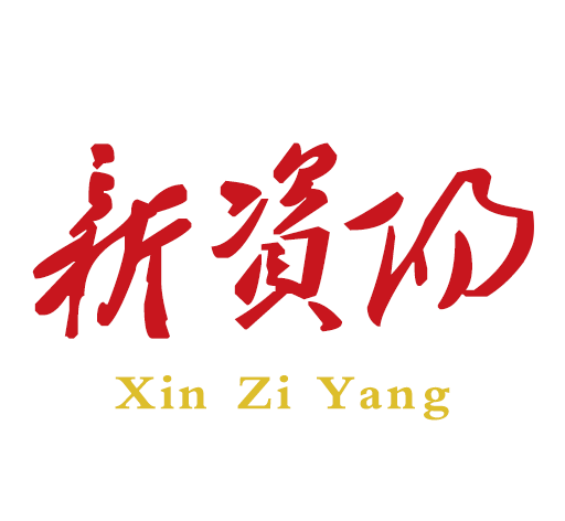 新资阳