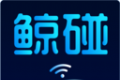 鲸碰
