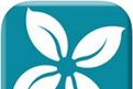 新商联盟网上手机订烟官网