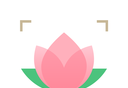 识花君