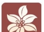 300百合会软件logo图