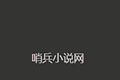哨兵小说