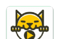 奇异猫影视