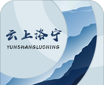 云上洛宁软件logo图