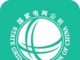 网上国网