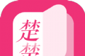 楚楚小说阅读器
