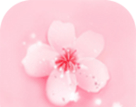 樱花草