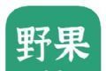 野果阅读app