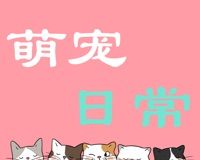 萌宠日常