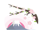 樱花影视app