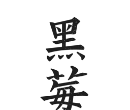黑莓浏览器