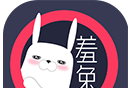羞兔动态壁纸