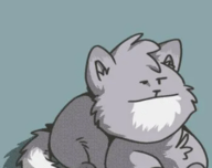 灰猫小说
