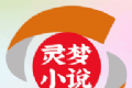 灵梦小说