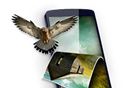 3dwallpapers壁纸
