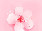 桃花视频