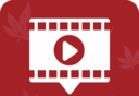 红叶影频TV