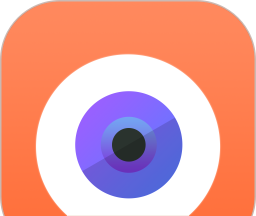 netcam