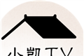 小凯TV