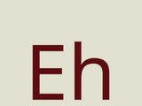 Ehviewer白色版