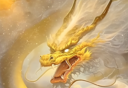 神龙壁纸
