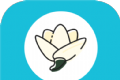 茉莉小说