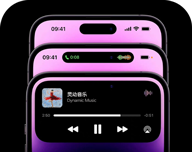 灵动岛