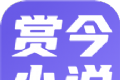 赏今小说