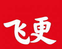 飞更小说