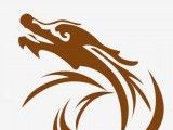 巨龙小说软件logo图