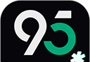 95分