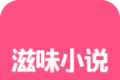 滋味小说