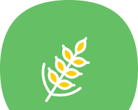 麦子下载软件logo图