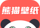 熊猫壁纸