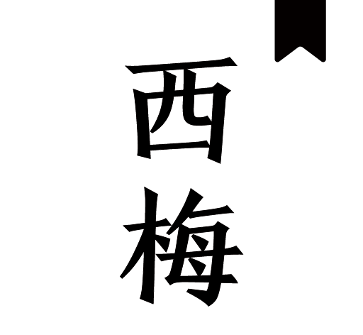西梅小说