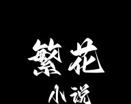 繁花小说