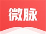 微脉输入法