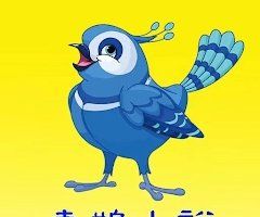 喜鹊小说