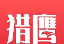 猎鹰免费小说