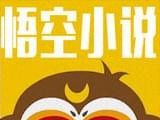 悟空小说