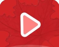 枫叶视频软件logo图