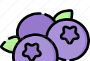 蓝莓音乐软件logo图