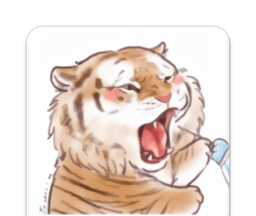 胖虎影视软件logo图